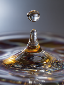 איפה הלחות שלנו?