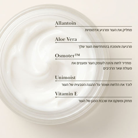 קרם לחות לעור רגיל עד יבש