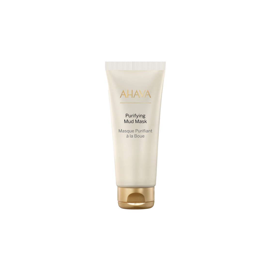 מסכת בוץ מינרלי Purifying Mud Mask